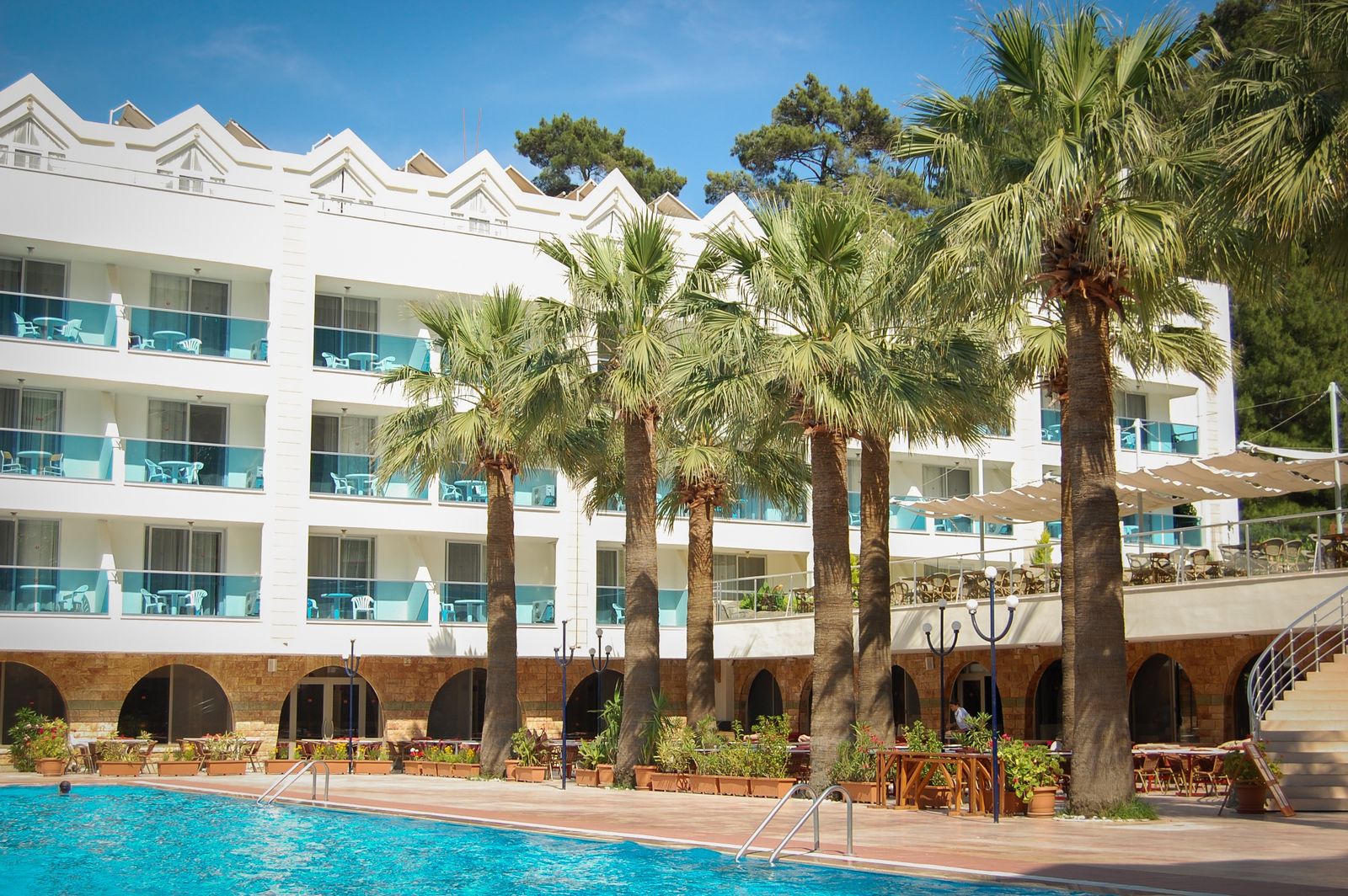 Hôtel avec piscine et palmiers